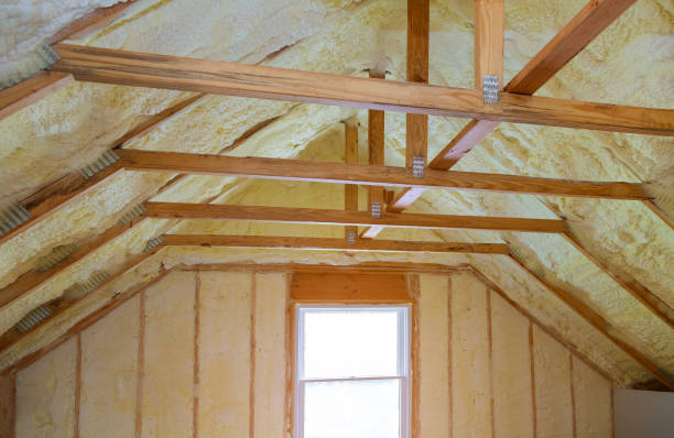 Best Types of Insulation in Carter Lake, IA